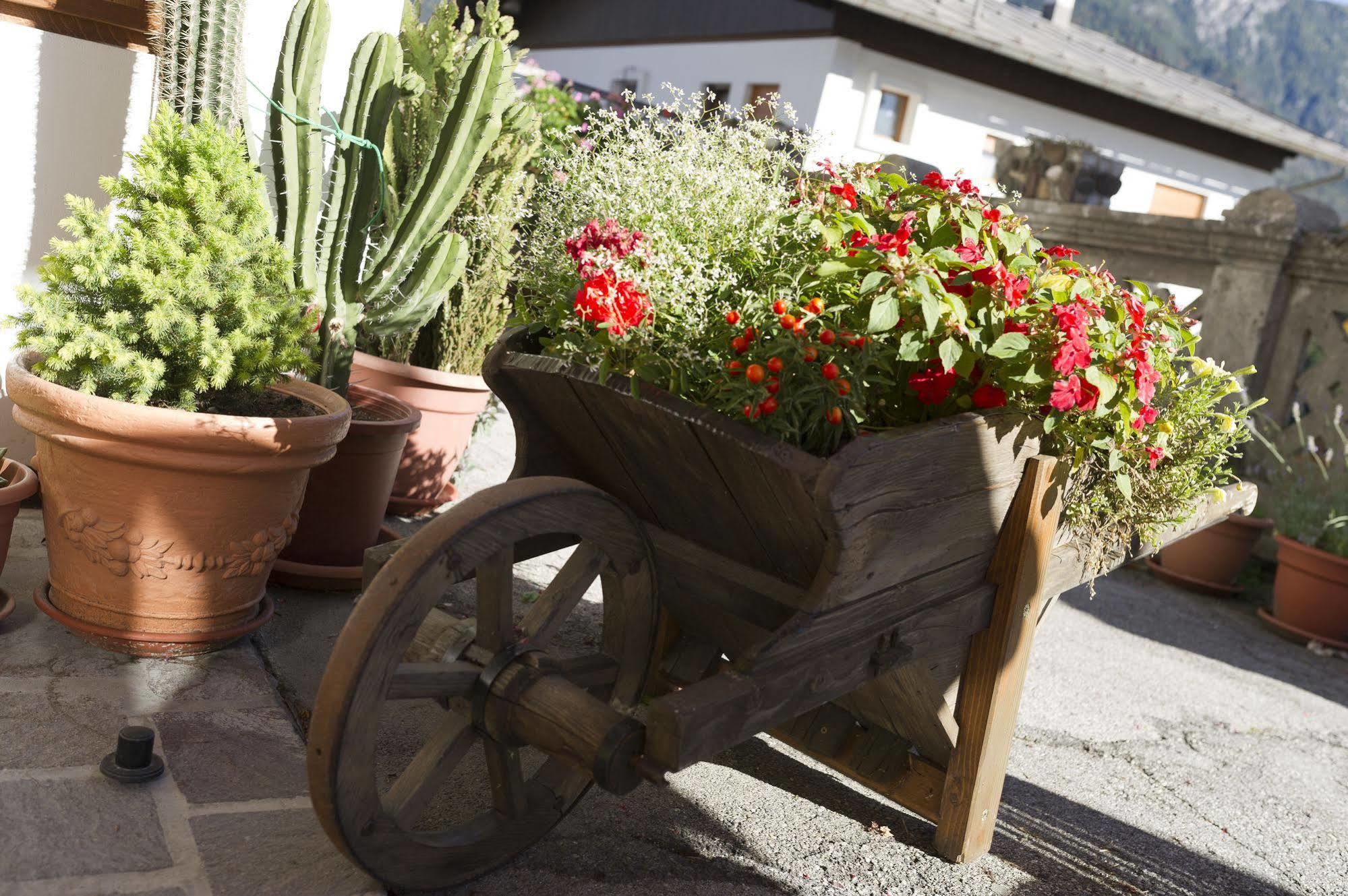 Hotel Giardino Pieve di Cadore Exterior photo